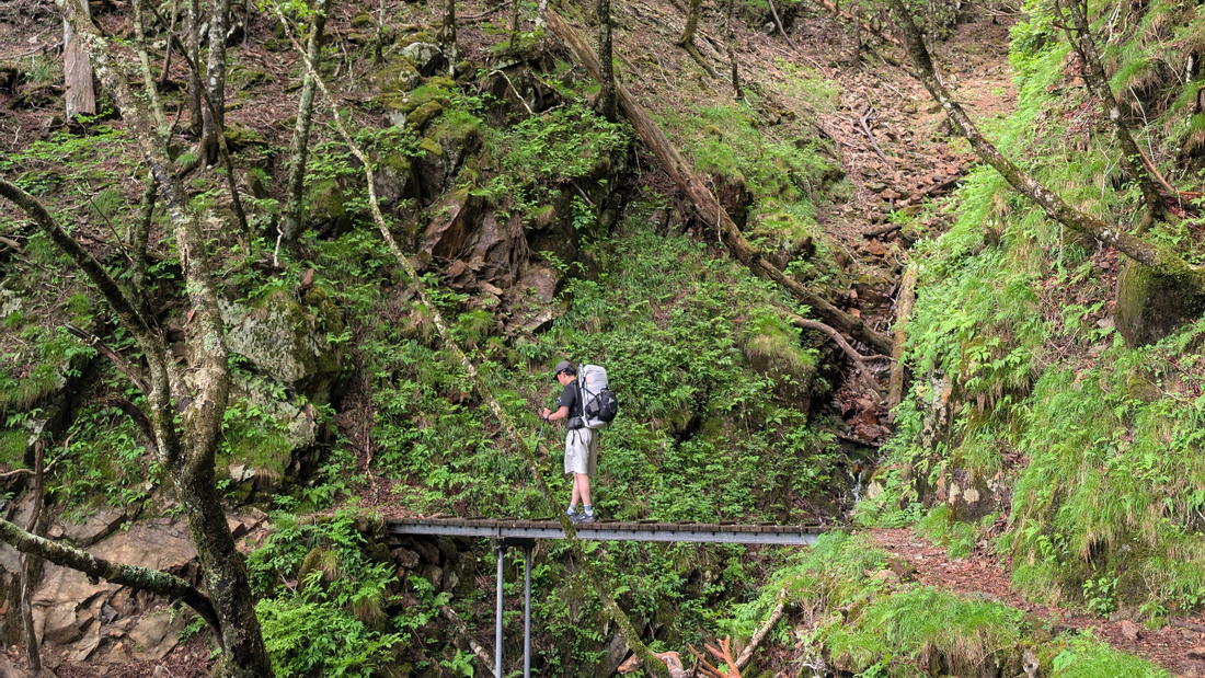 街から山へ、そしてまた街へ。—— 奥秩父の深い森と、多摩川の始まりに出会うルート。