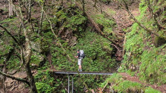 街から山へ、そしてまた街へ。—— 奥秩父の深い森と、多摩川の始まりに出会うルート。